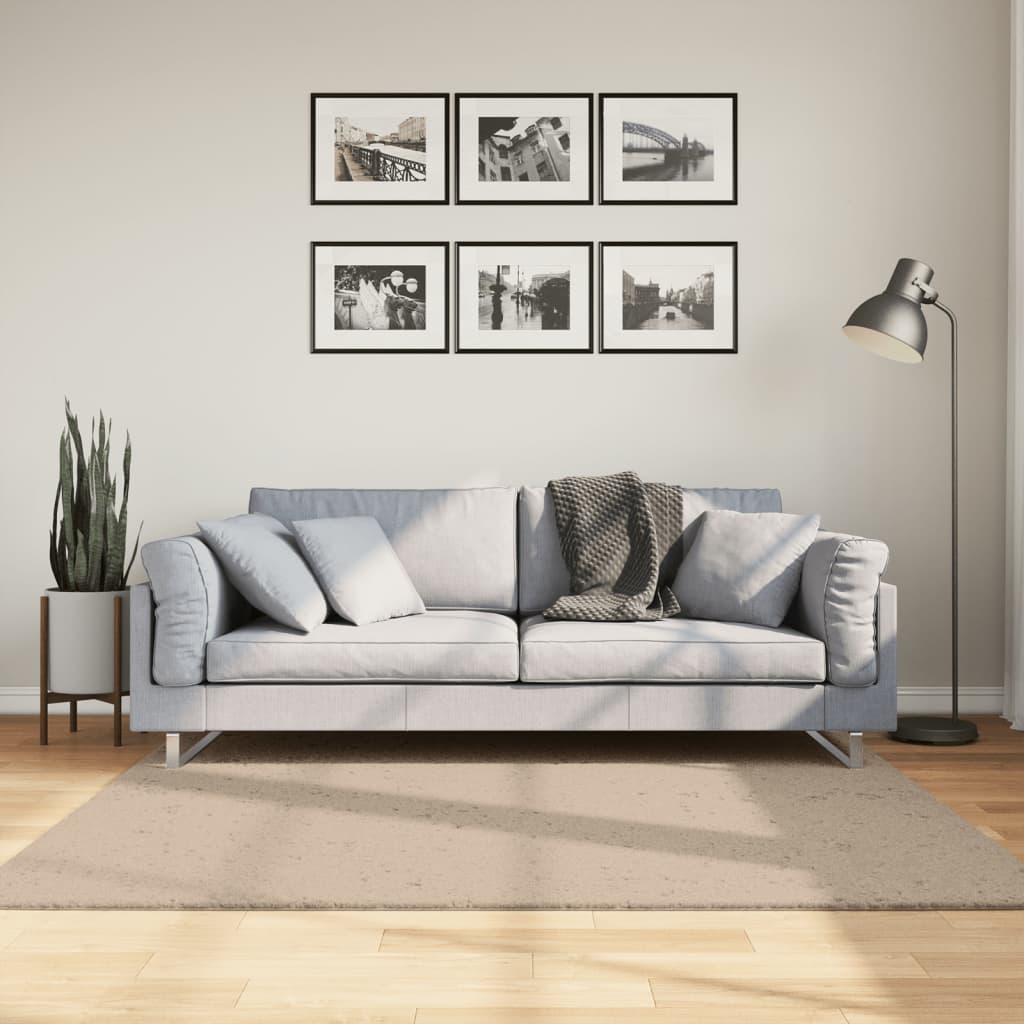 vidaXL Rug HUARTE Short Pile Soft and Washable Sand 160x160 cm