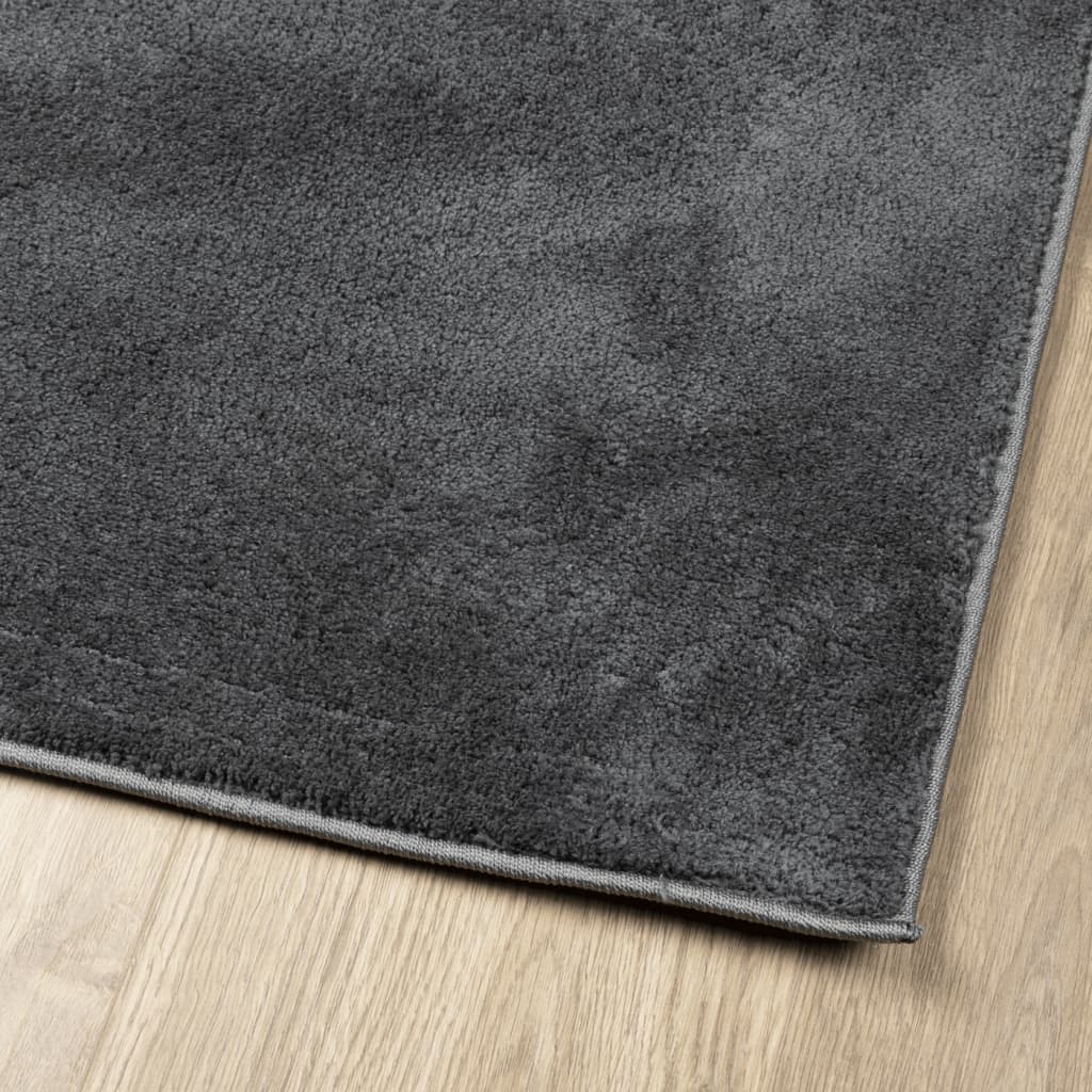 vidaXL Rug OVIEDO Short Pile Anthracite 120x120 cm
