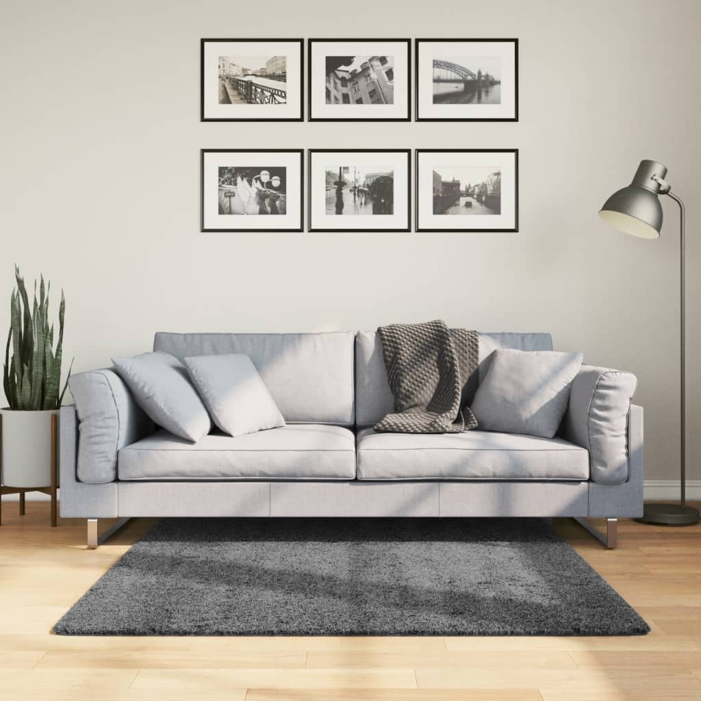 vidaXL Rug OVIEDO Short Pile Anthracite 120x120 cm
