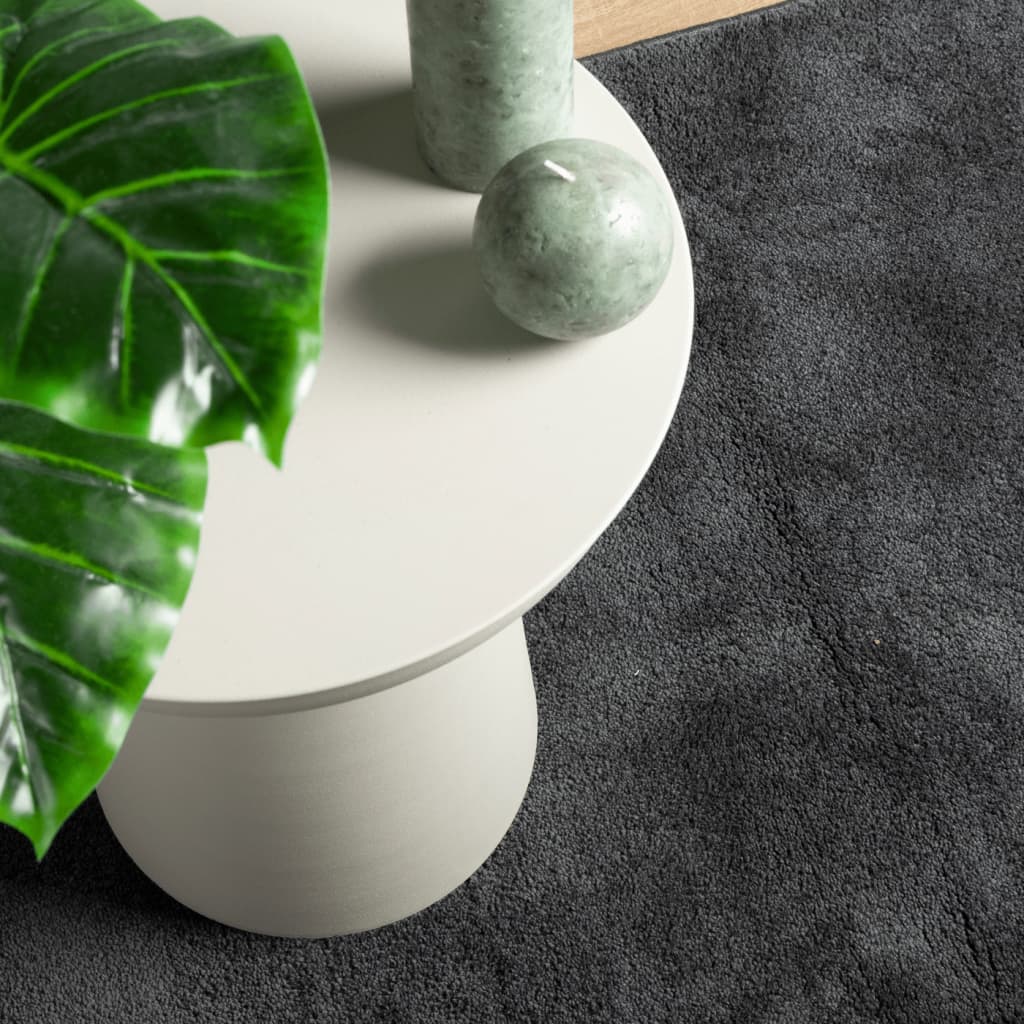 vidaXL Rug OVIEDO Short Pile Anthracite 160x230 cm
