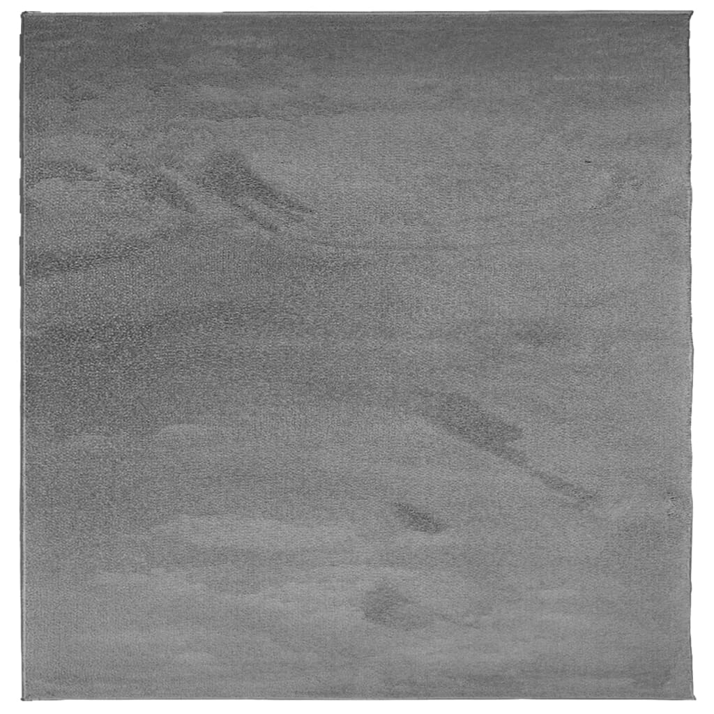 vidaXL Rug OVIEDO Short Pile Anthracite 240x240 cm