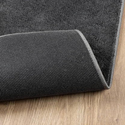 vidaXL Rug OVIEDO Short Pile Anthracite 240x240 cm