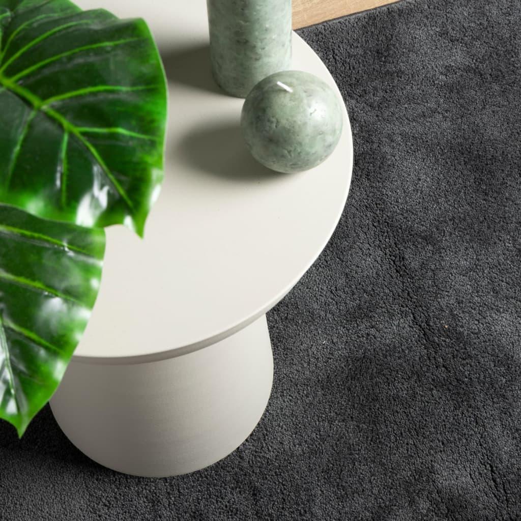 vidaXL Rug OVIEDO Short Pile Anthracite 240x240 cm