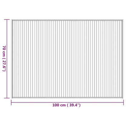 vidaXL Rug Rectangular Natural 70x100 cm Bamboo