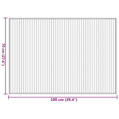 vidaXL Rug Rectangular Brown 70x100 cm Bamboo