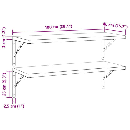 vidaXL Wall Shelves 2 pcs 100x40 cm Black Stainless Steel