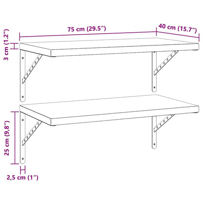 vidaXL Wall Shelves 2 pcs 75x40 cm Black Stainless Steel