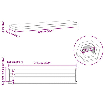 vidaXL Wall Shelves 2 pcs 100x23.5 cm Silver Stainless Steel