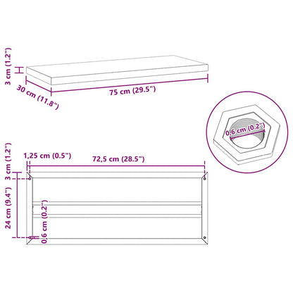 vidaXL Wall Shelves 2 pcs 75x30 cm Silver Stainless Steel