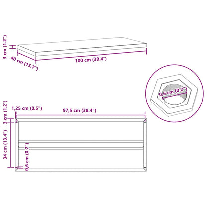 vidaXL Wall Shelves 2 pcs 100x40 cm Black Stainless Steel