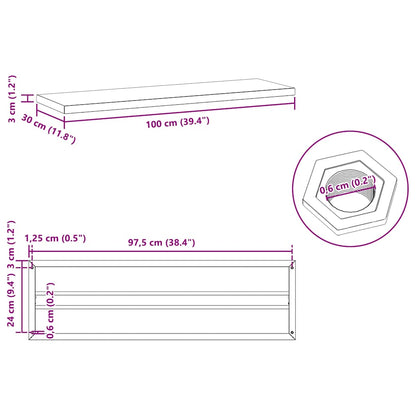 vidaXL Wall Shelves 2 pcs 100x30 cm Black Stainless Steel