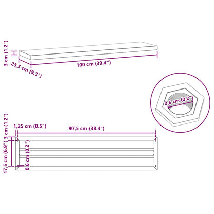 vidaXL Wall Shelves 2 pcs 100x23.5 cm Black Stainless Steel