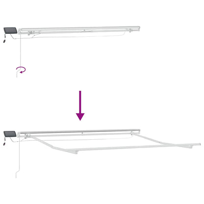 vidaXL Manual Retractable Awning with LED Anthracite&White 300x250 cm