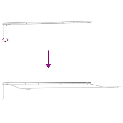 vidaXL Manual Retractable Awning Anthracite&White 600x300 cm