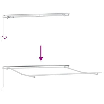 vidaXL Manual Retractable Awning Anthracite&White 300x250 cm