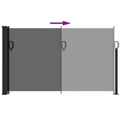vidaXL Retractable Side Awning Anthracite 117x300 cm