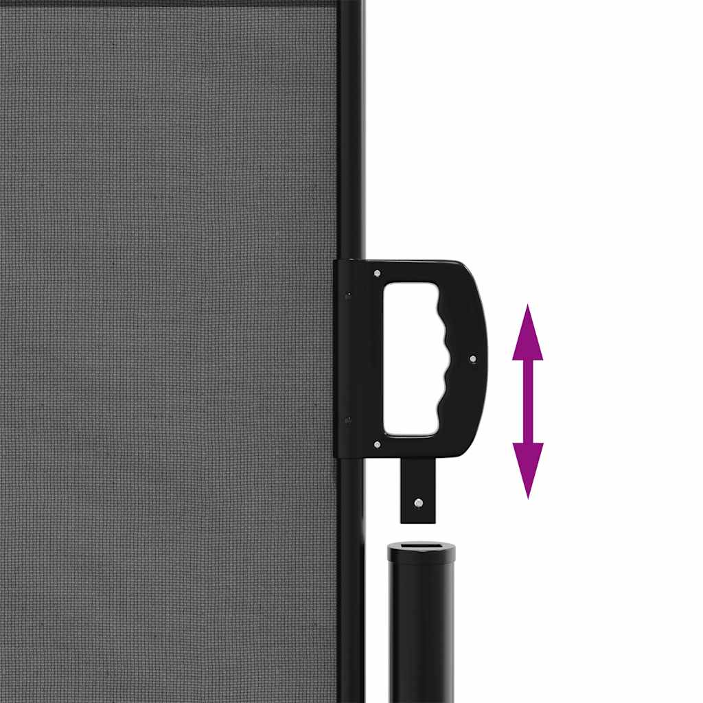 vidaXL Retractable Side Awning Anthracite 117x300 cm