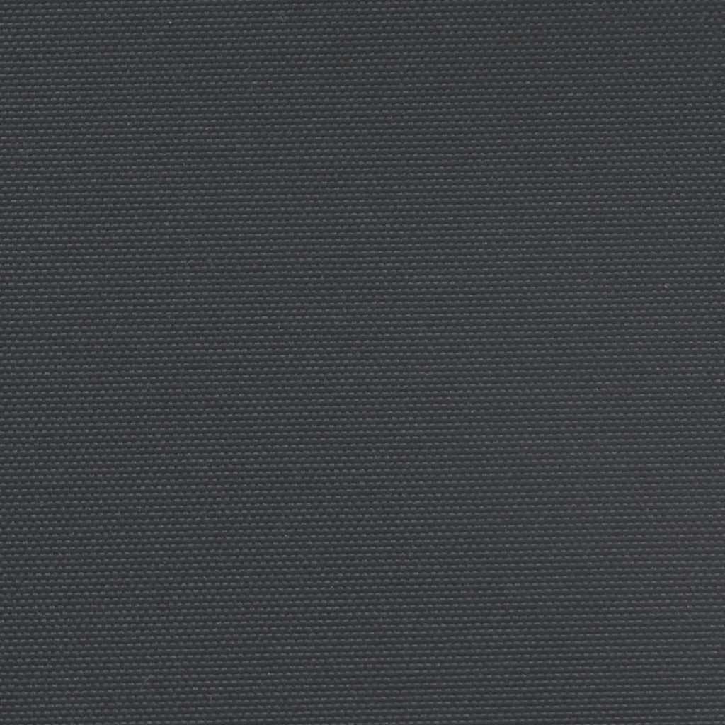 vidaXL Retractable Side Awning Black 140x300 cm