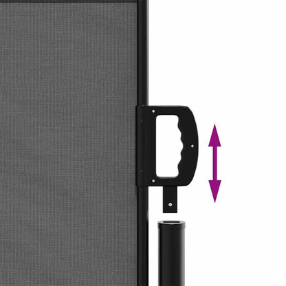 vidaXL Retractable Side Awning Anthracite 140x300 cm