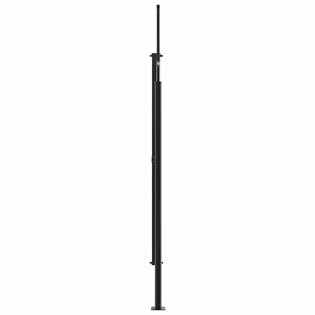 vidaXL Retractable Side Awning Anthracite 200x300 cm