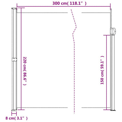 vidaXL Retractable Side Awning Anthracite 220x300 cm