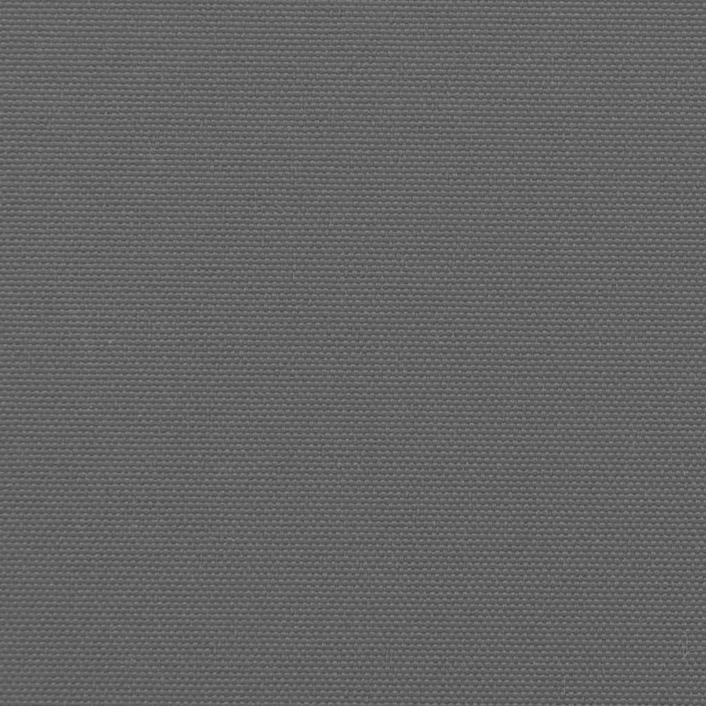 vidaXL Retractable Side Awning Anthracite 220x600 cm
