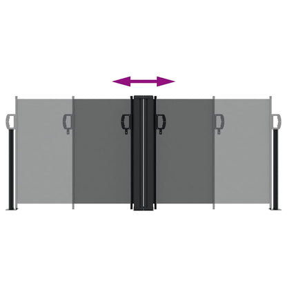 vidaXL Retractable Side Awning Anthracite 100x600 cm