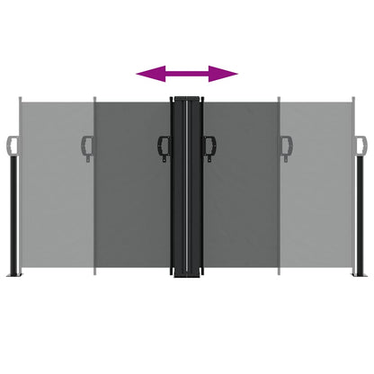vidaXL Retractable Side Awning Anthracite 120x600 cm