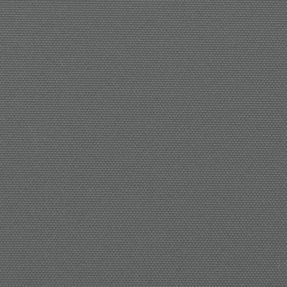 vidaXL Retractable Side Awning Anthracite 120x600 cm