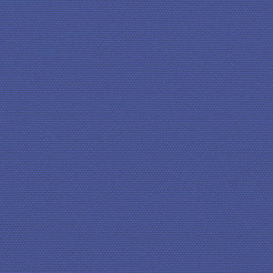 vidaXL Retractable Side Awning Blue 200x600 cm