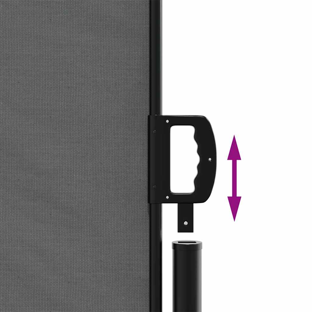 vidaXL Retractable Side Awning Anthracite 200x1000 cm