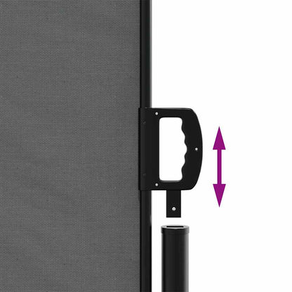 vidaXL Retractable Side Awning Anthracite 200x1000 cm