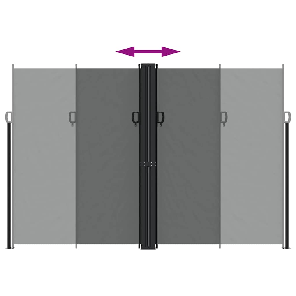 vidaXL Retractable Side Awning Anthracite 220x1000 cm