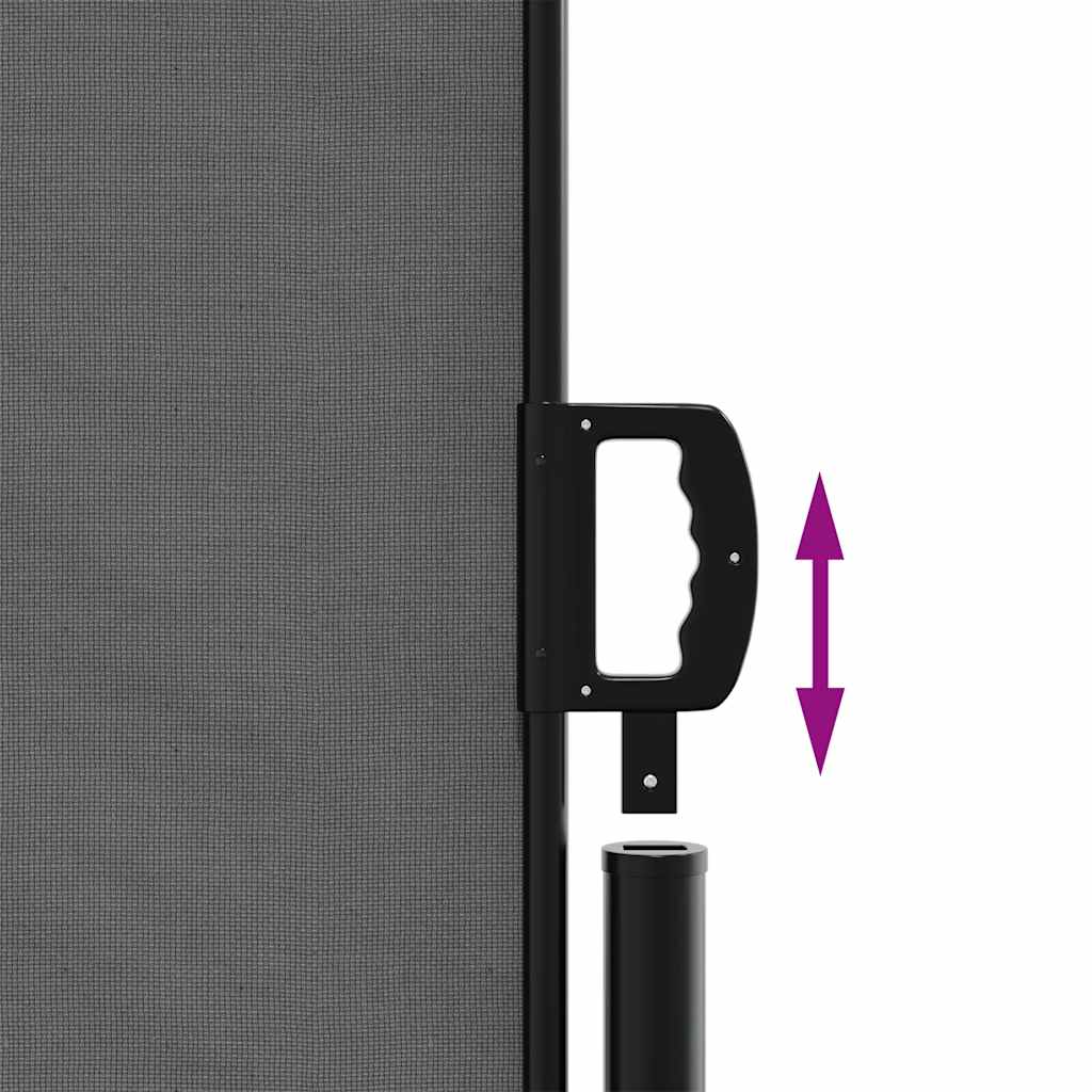 vidaXL Retractable Side Awning Anthracite 220x1000 cm