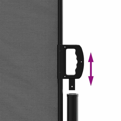 vidaXL Retractable Side Awning Anthracite 220x1000 cm