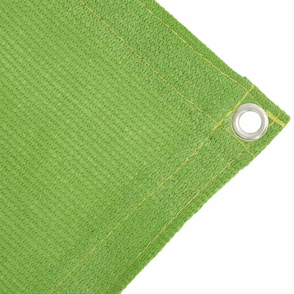 vidaXL Tent Carpet Light Green 250x250 cm HDPE