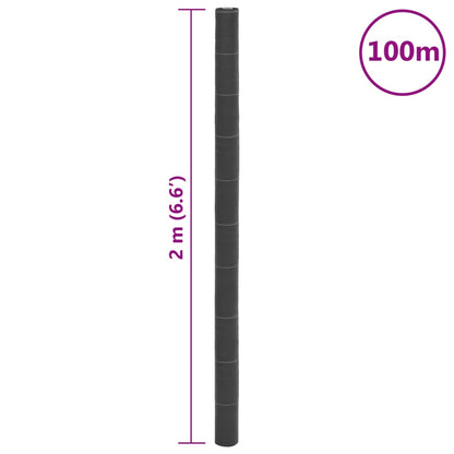 vidaXL Weed Membrane Black 2x100 m PP
