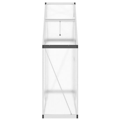 vidaXL Greenhouse with Base Frame Silver 169x58x195 cm Aluminium