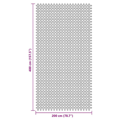 vidaXL Tent Carpet Anthracite 4x2 m