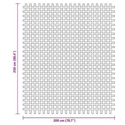 vidaXL Tent Carpet Anthracite 2.5x2 m