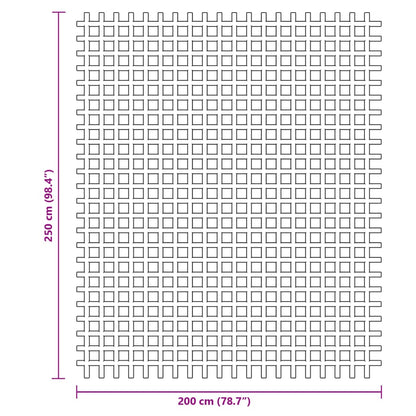 vidaXL Tent Carpet Green 2.5x2 m