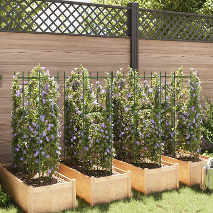 vidaXL Tomato Cages 8 pcs 116 cm Steel and PP