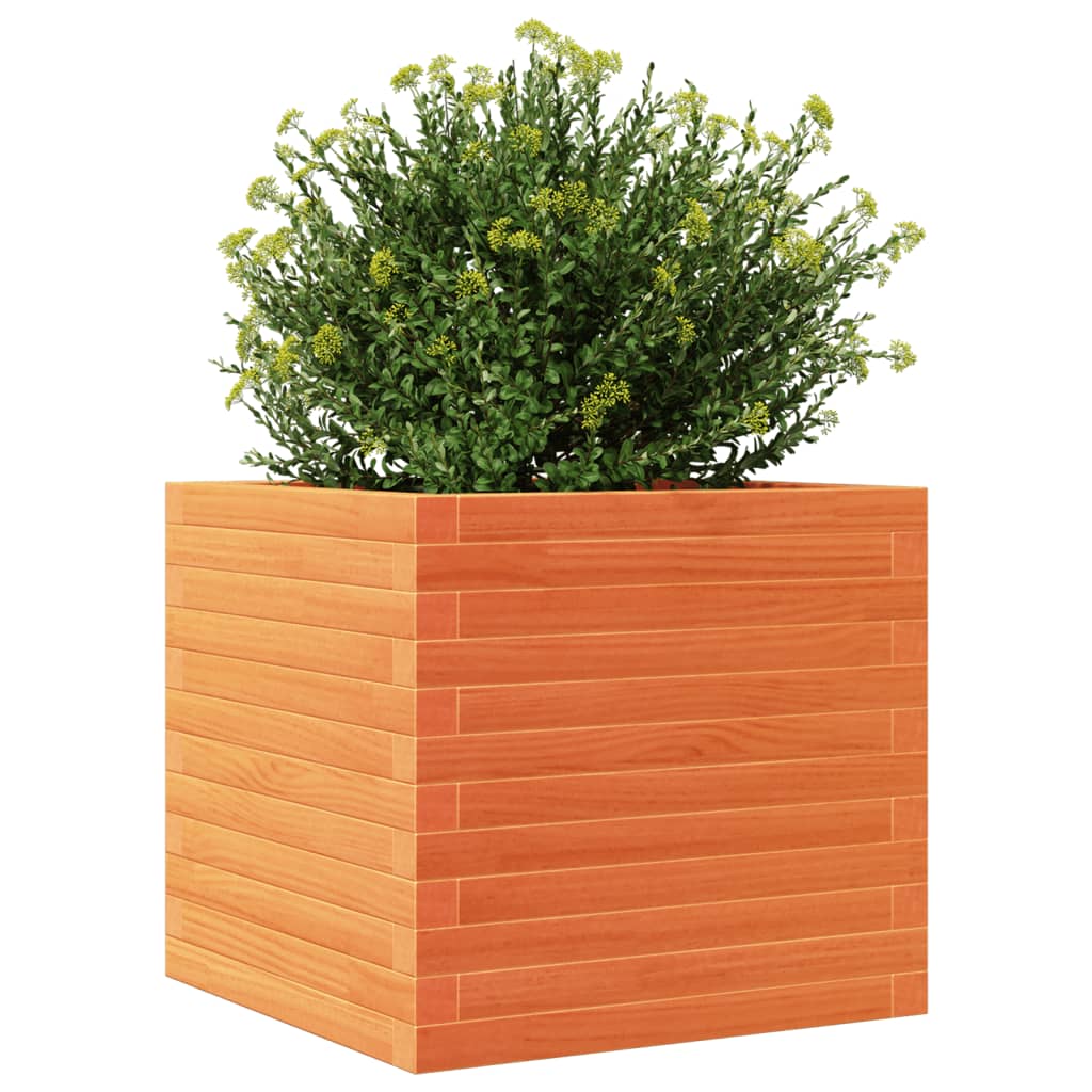 vidaXL Garden Planter Wax Brown 50x50x46 cm Solid Wood Pine
