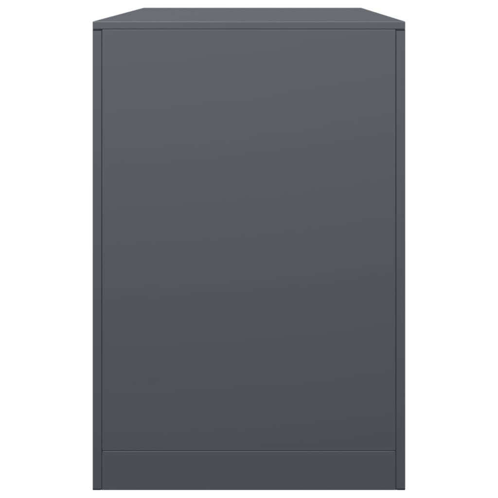 vidaXL Firewood Rack Anthracite 100x40x60 cm Steel