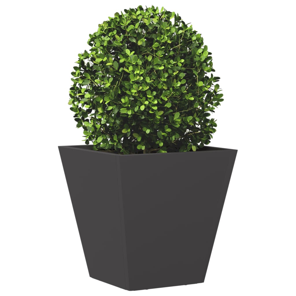 vidaXL Garden Planters 2 pcs Black 30x30x30 cm Steel
