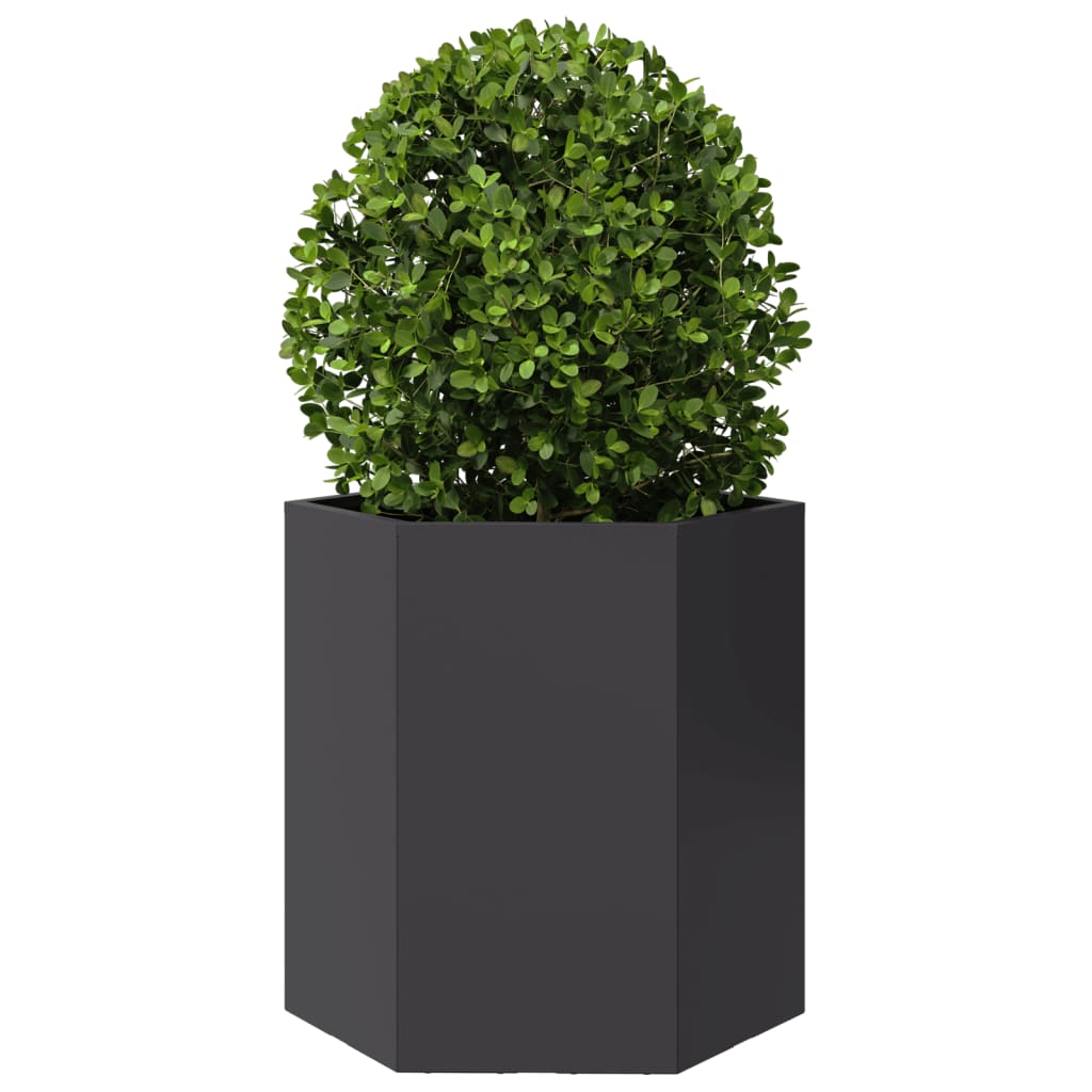 vidaXL Garden Planter 2 pcs Black Hexagon 46x40x45 cm Steel