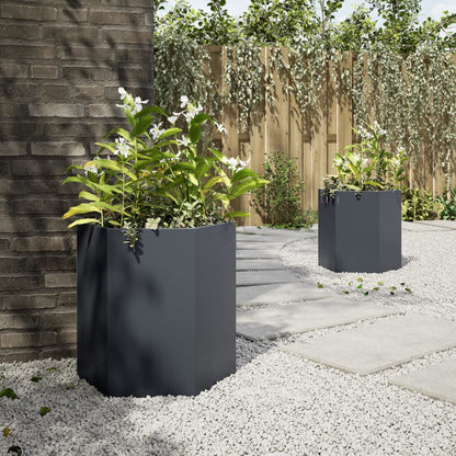 vidaXL Garden Planters 2 pcs Anthracite Hexagon 46x40x45 cm Steel