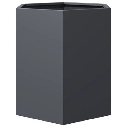 vidaXL Garden Planters 2 pcs Anthracite Hexagon 46x40x45 cm Steel