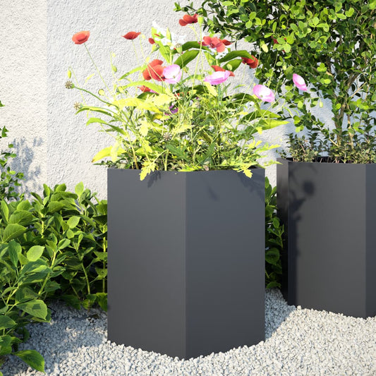 vidaXL Garden Planters 2 pcs Anthracite Hexagon 46x40x45 cm Steel