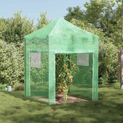 vidaXL Greenhouse with Pop-up Frame Green 200 x 200 x 300 cm Iron